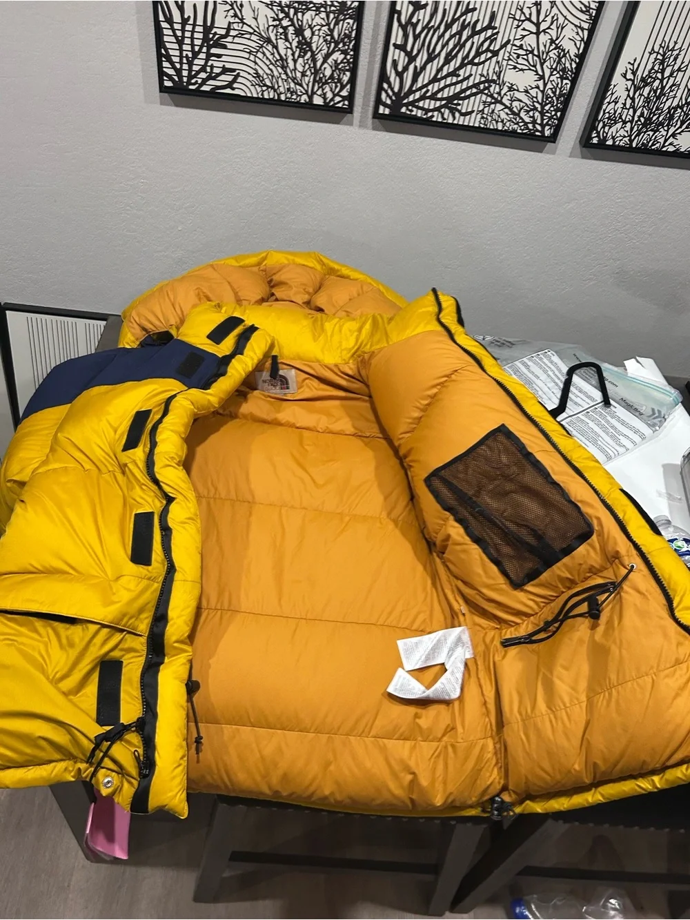 The North Face x Gucci Puffer Jacket